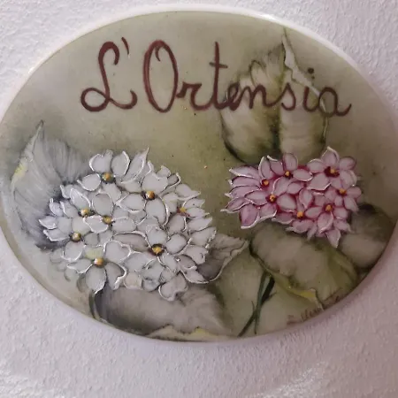 L'ortensia Pigna