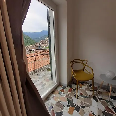 L'ortensia *