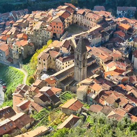 L'ortensia *