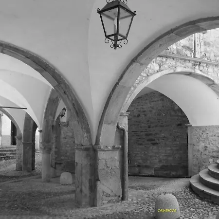 L'ortensia * Pigna