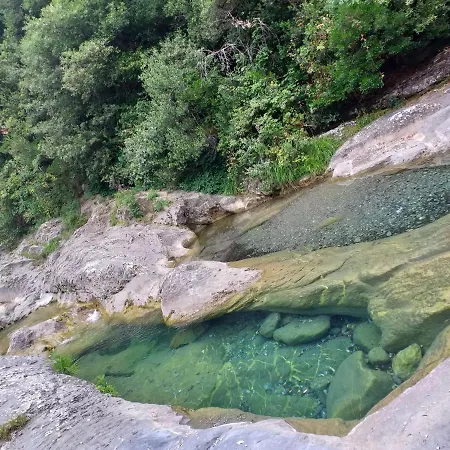 L'ortensia Pigna